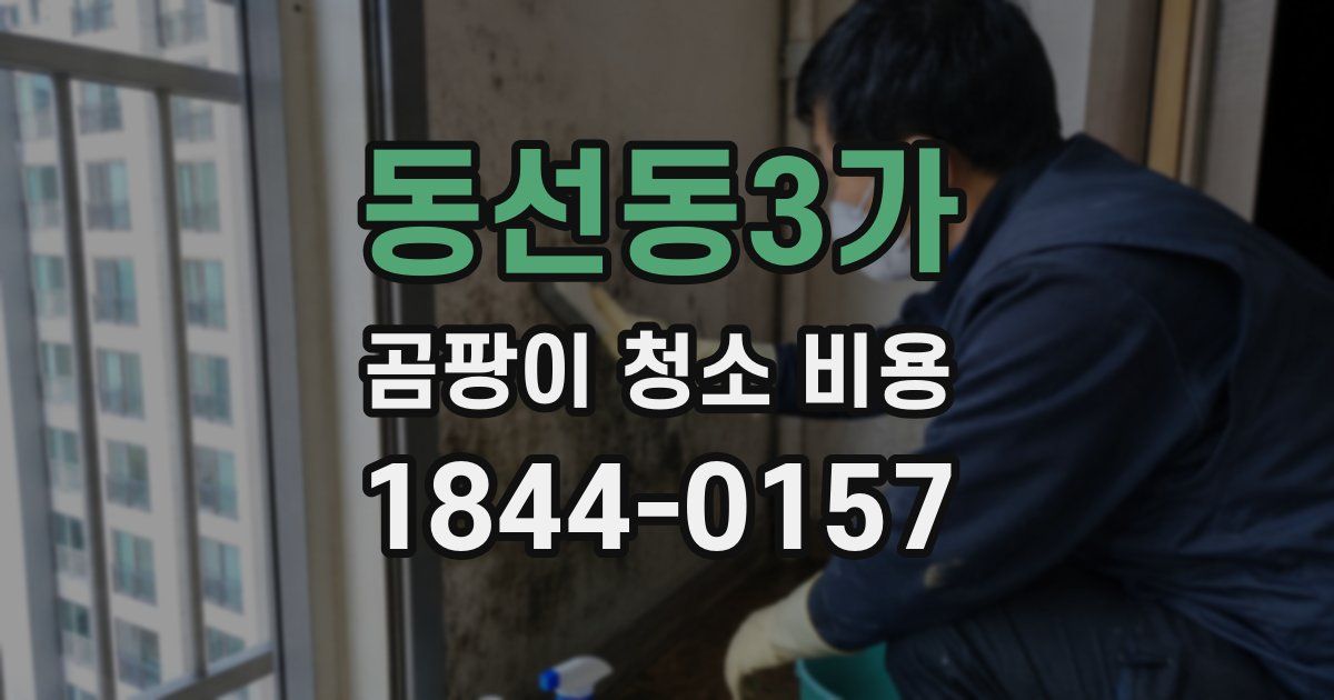 동선동3가 곰팡이 청소 비용