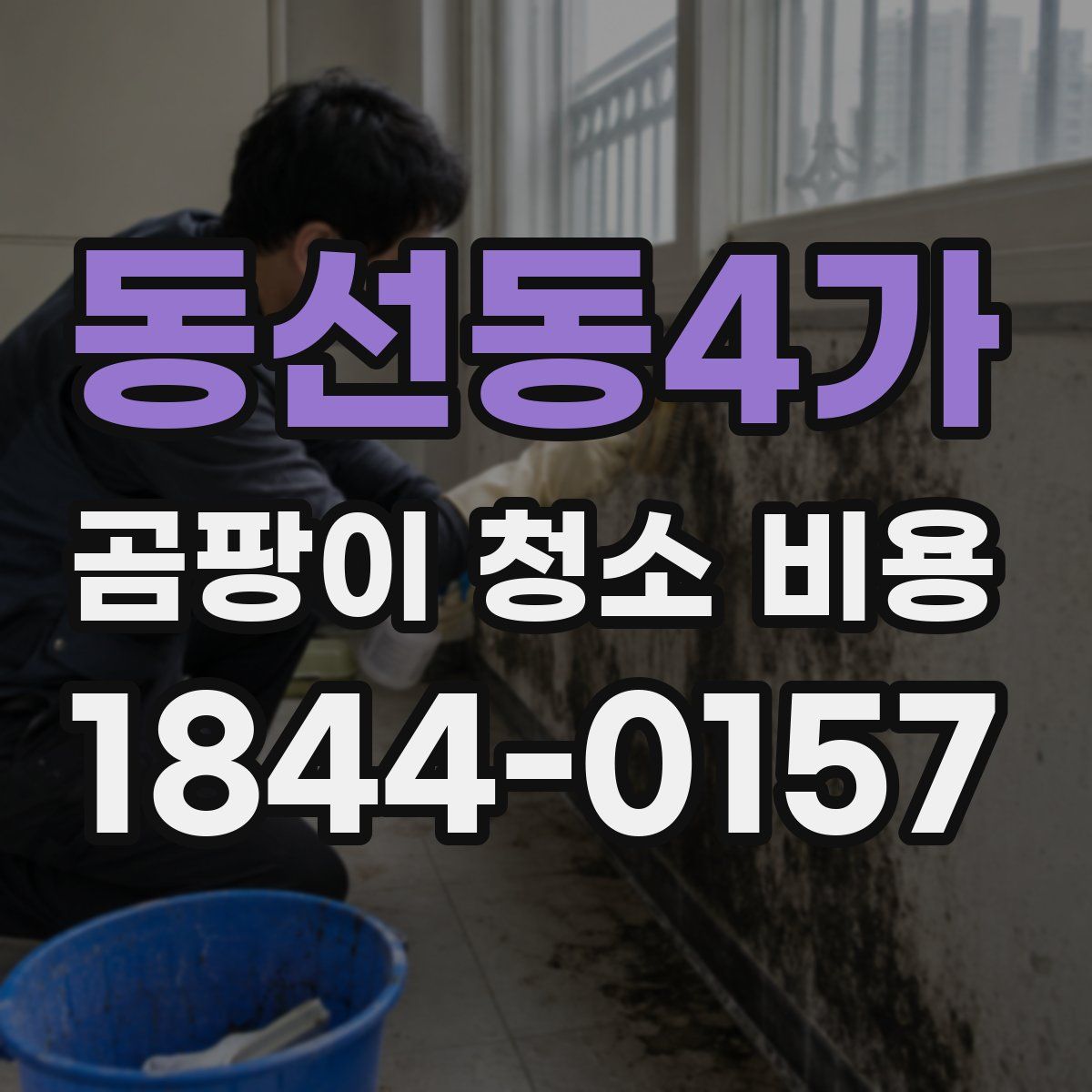 동선동4가 곰팡이 청소 비용