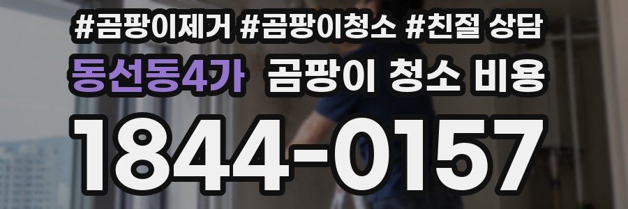 동선동4가 곰팡이 청소 비용