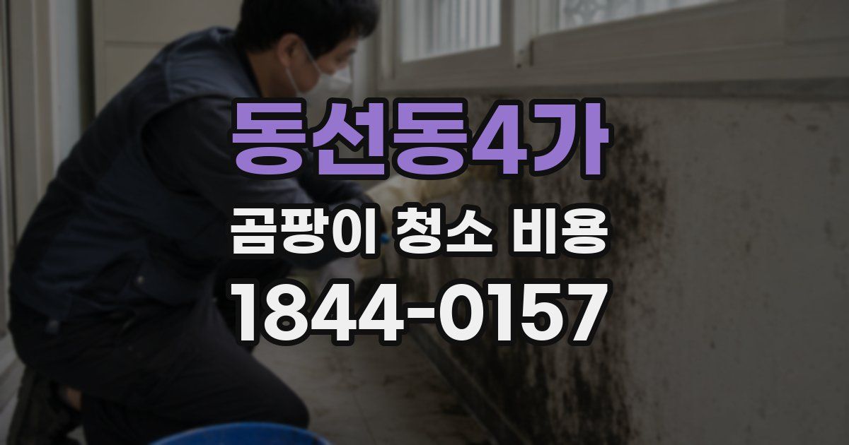 동선동4가 곰팡이 청소 비용