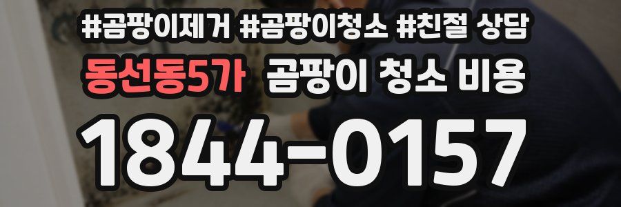 동선동5가 곰팡이 청소 비용