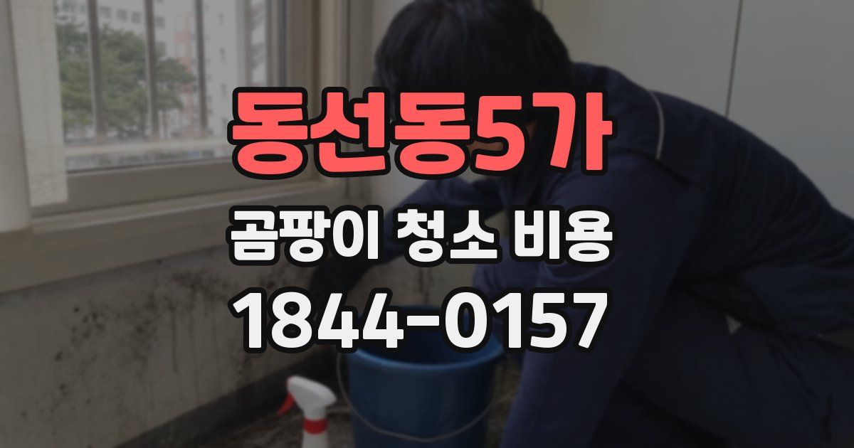 동선동5가 곰팡이 청소 비용