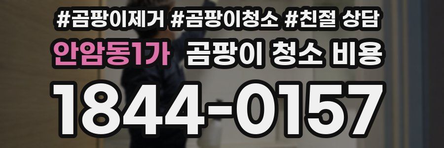 안암동1가 곰팡이 청소 비용