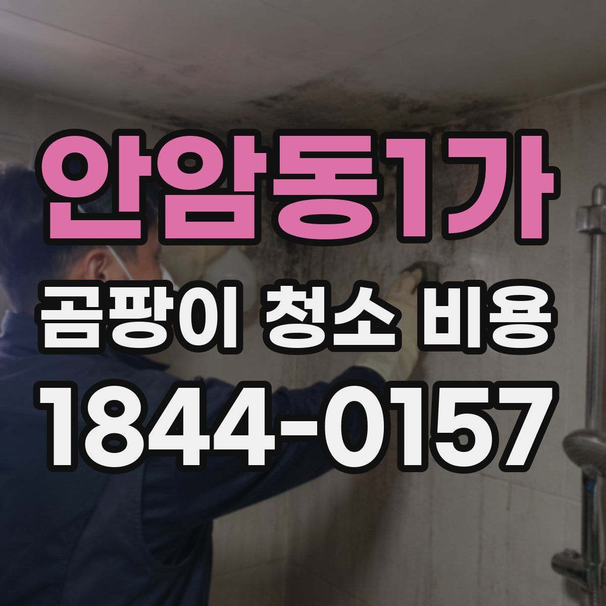 안암동1가 곰팡이 청소 비용