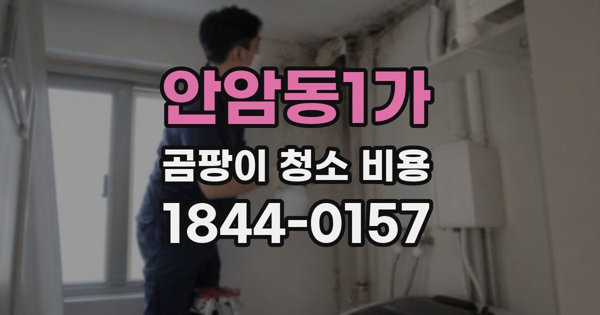 안암동1가 곰팡이 청소 비용