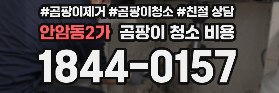 안암동2가 곰팡이 청소 비용