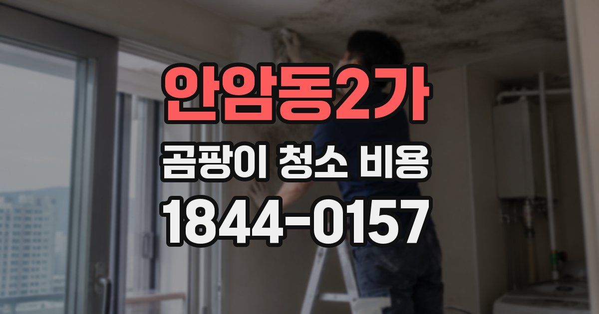 안암동2가 곰팡이 청소 비용