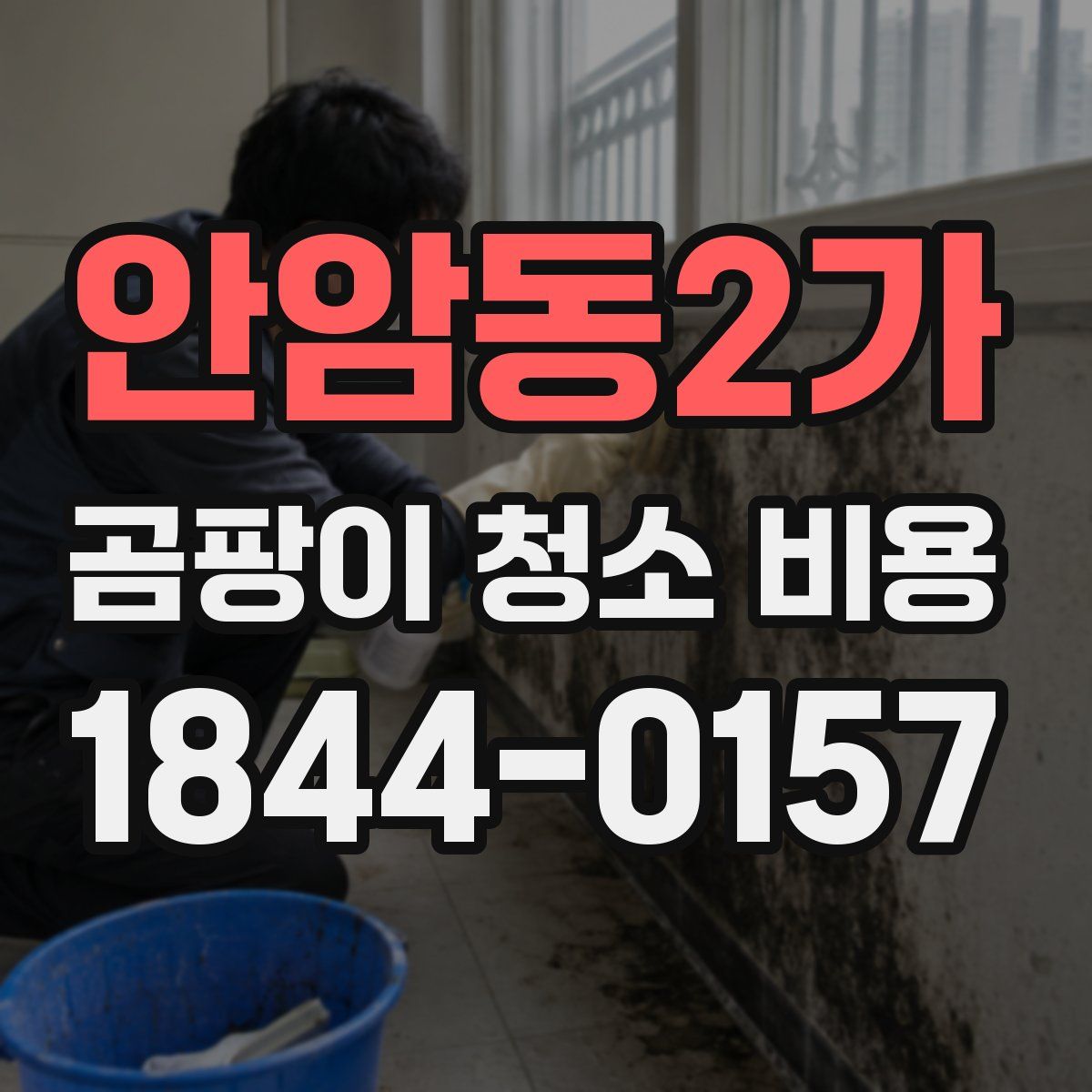 안암동2가 곰팡이 청소 비용