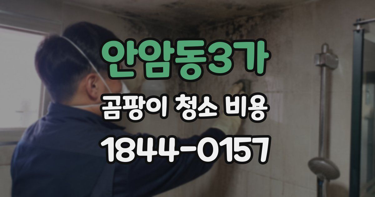 안암동3가 곰팡이 청소 비용