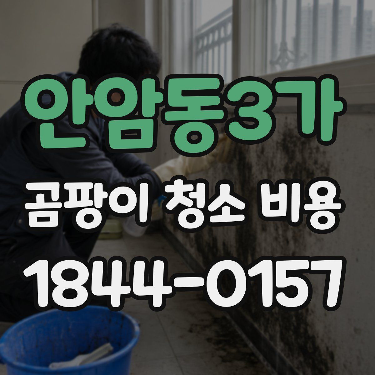안암동3가 곰팡이 청소 비용