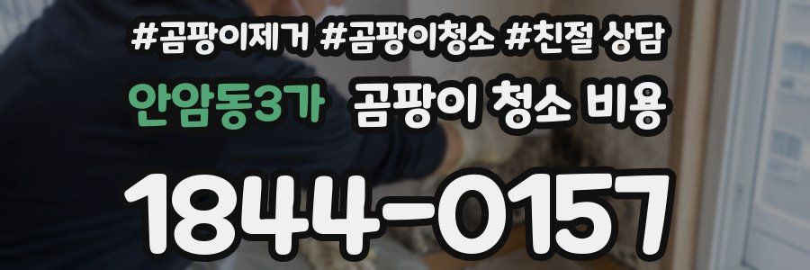 안암동3가 곰팡이 청소 비용