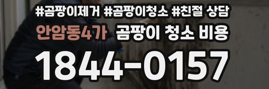 안암동4가 곰팡이 청소 비용