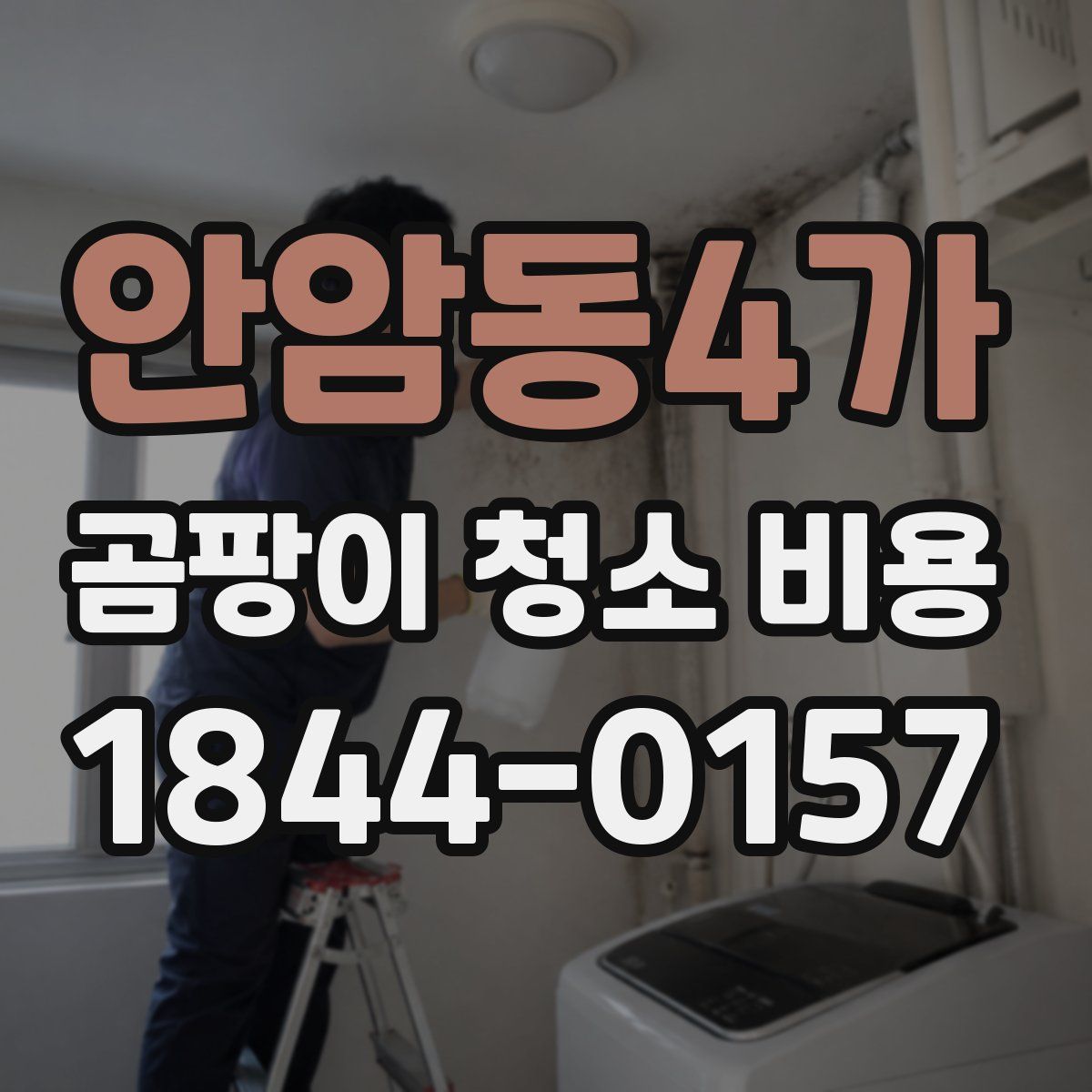 안암동4가 곰팡이 청소 비용