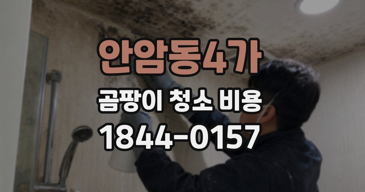 안암동4가 곰팡이 청소 비용