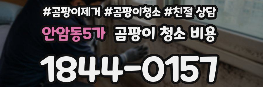안암동5가 곰팡이 청소 비용