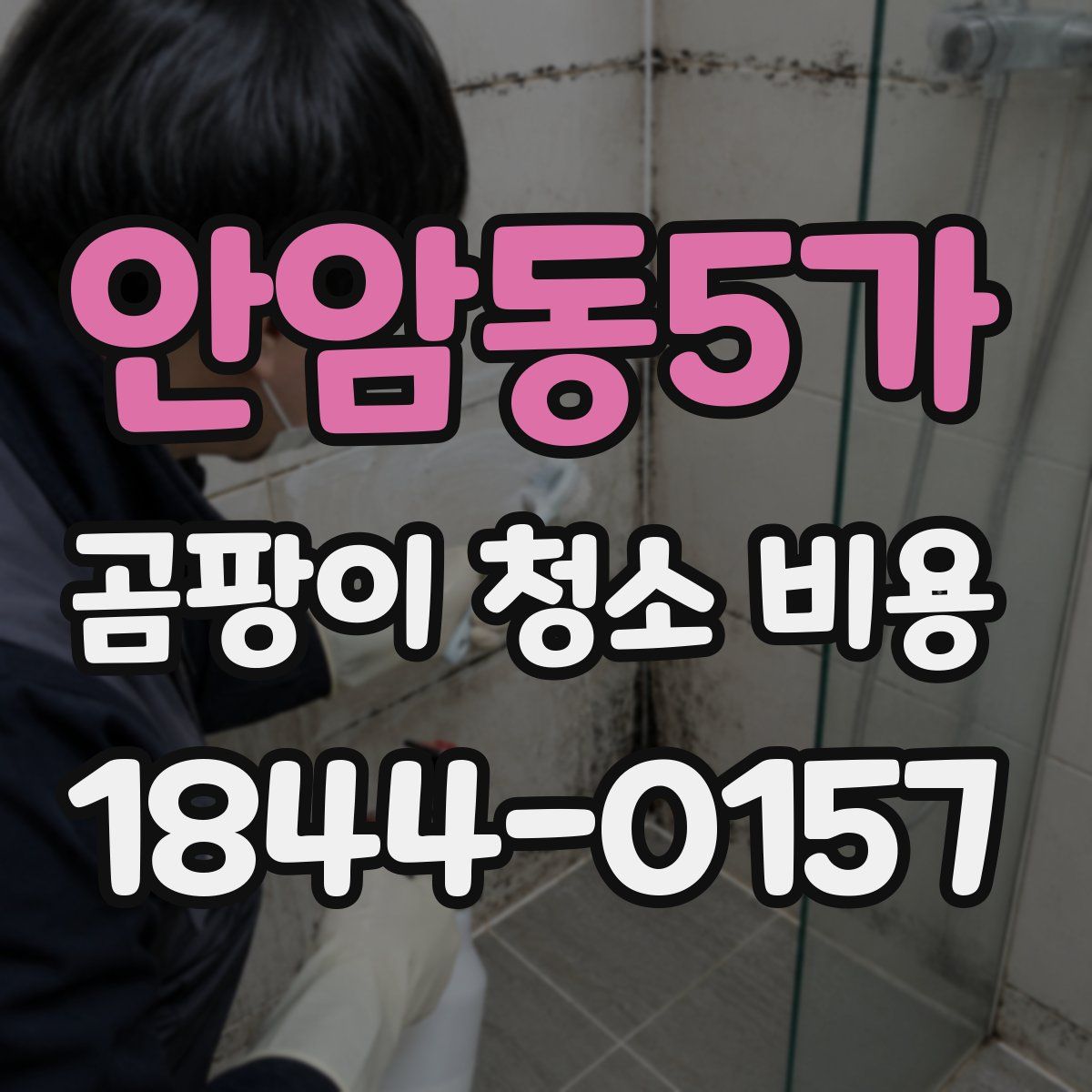 안암동5가 곰팡이 청소 비용