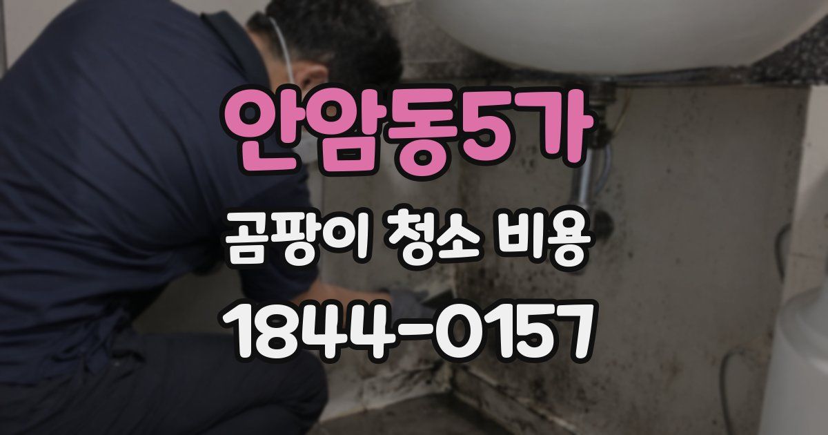 안암동5가 곰팡이 청소 비용