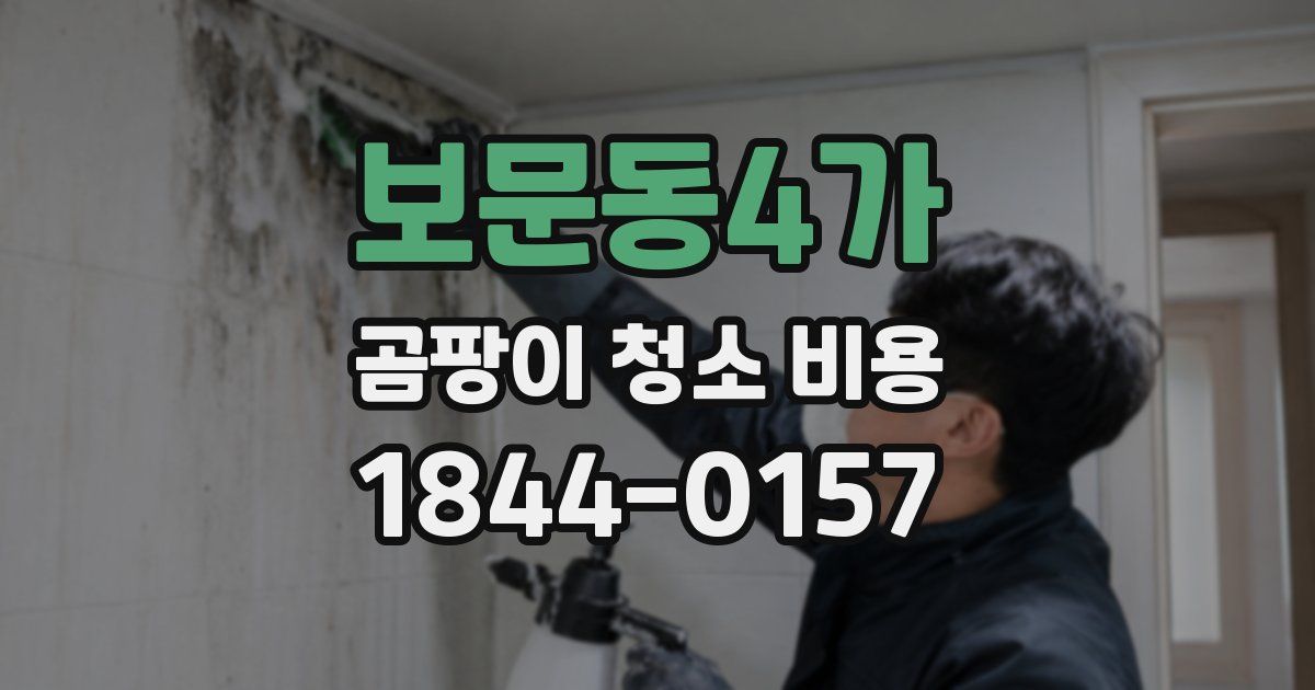 보문동4가 곰팡이 청소 비용
