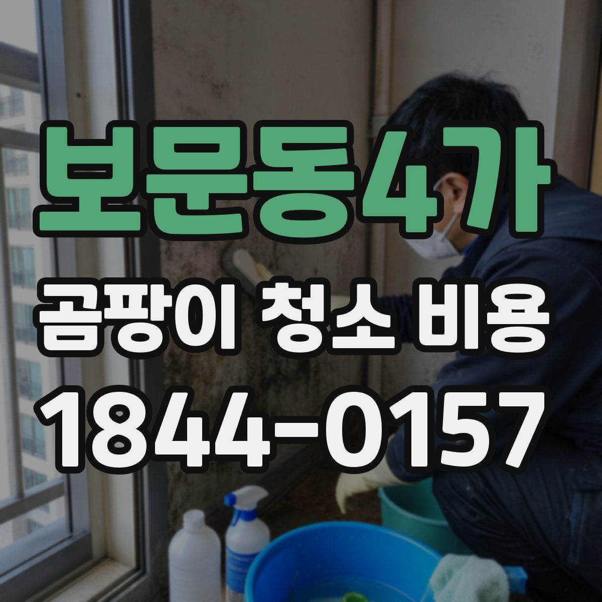 보문동4가 곰팡이 청소 비용