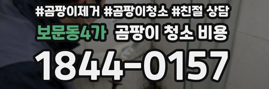 보문동4가 곰팡이 청소 비용