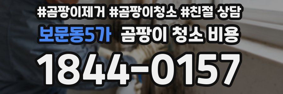 보문동5가 곰팡이 청소 비용