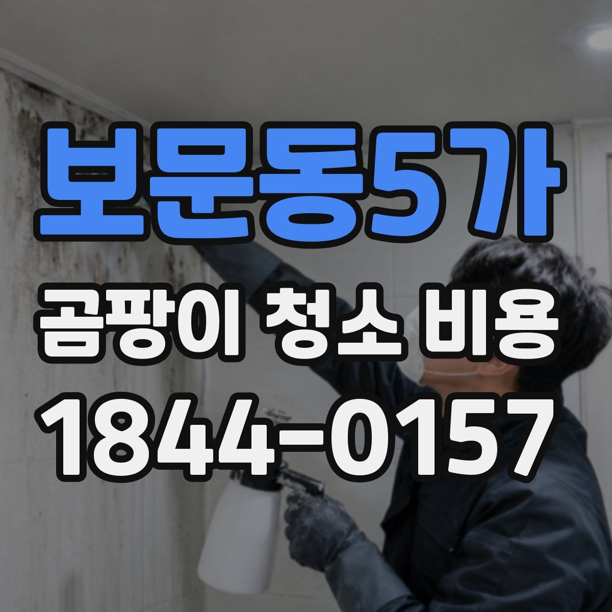 보문동5가 곰팡이 청소 비용