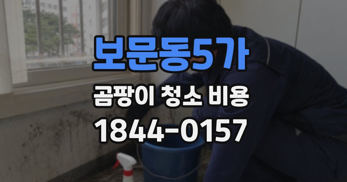 보문동5가 곰팡이 청소 비용