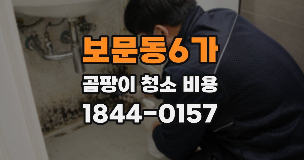 보문동6가 곰팡이 청소 비용