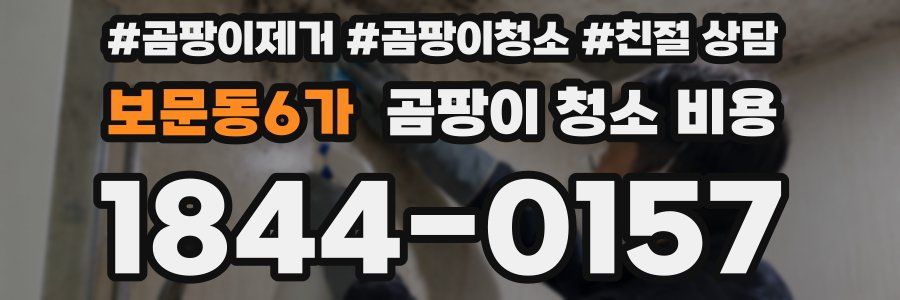 보문동6가 곰팡이 청소 비용