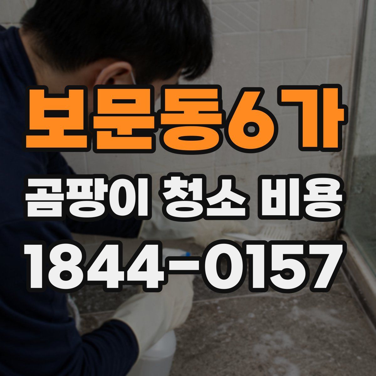 보문동6가 곰팡이 청소 비용