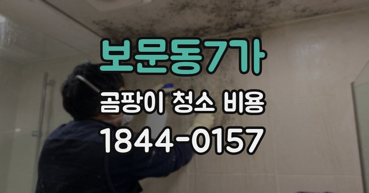 보문동7가 곰팡이 청소 비용