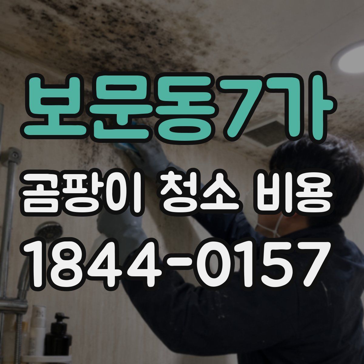 보문동7가 곰팡이 청소 비용