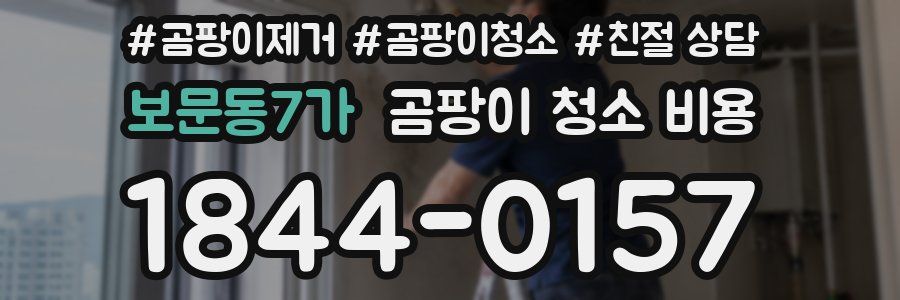 보문동7가 곰팡이 청소 비용