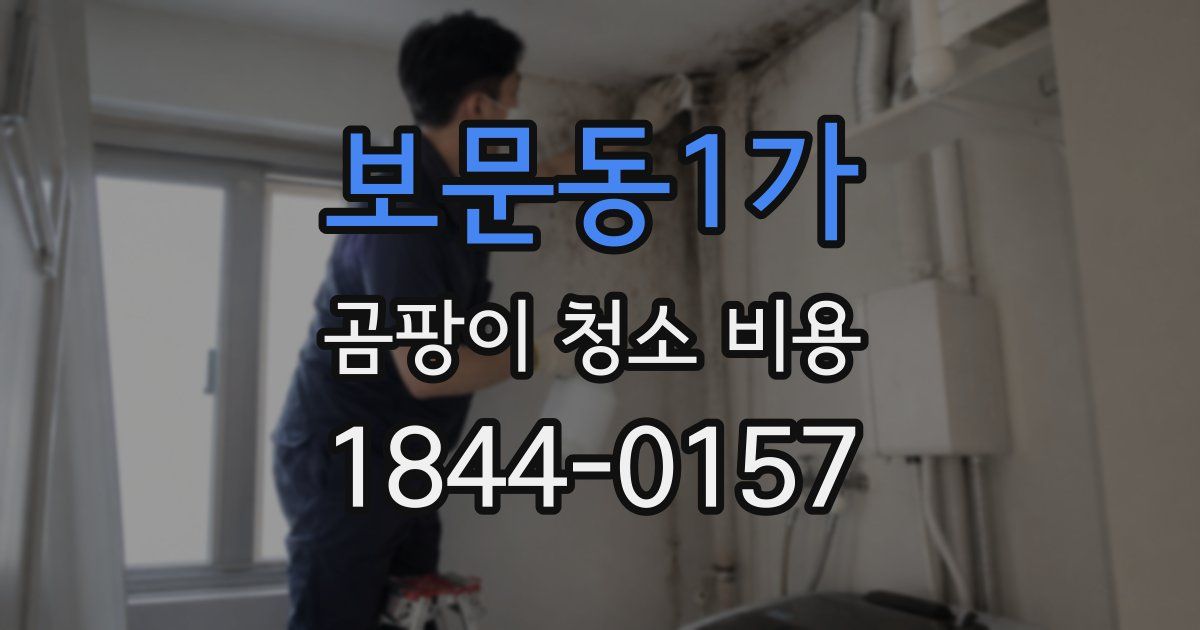 보문동1가 곰팡이 청소 비용
