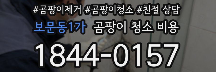 보문동1가 곰팡이 청소 비용