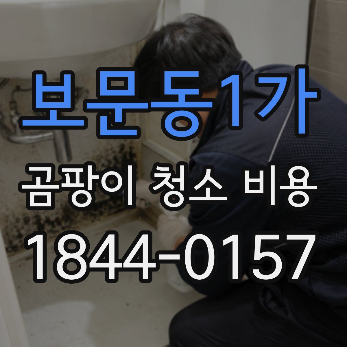 보문동1가 곰팡이 청소 비용