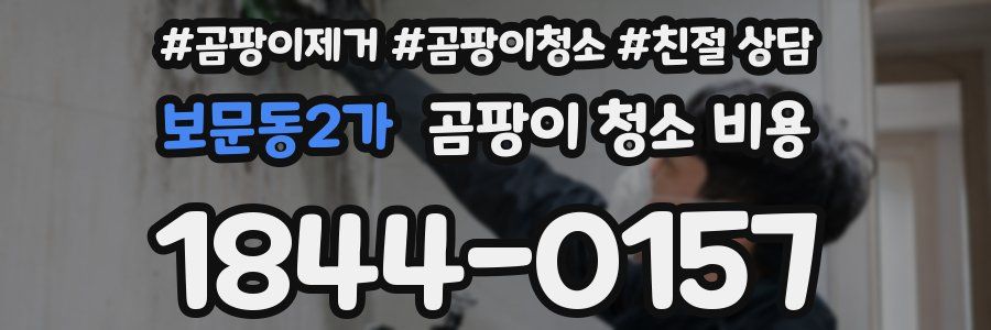 보문동2가 곰팡이 청소 비용