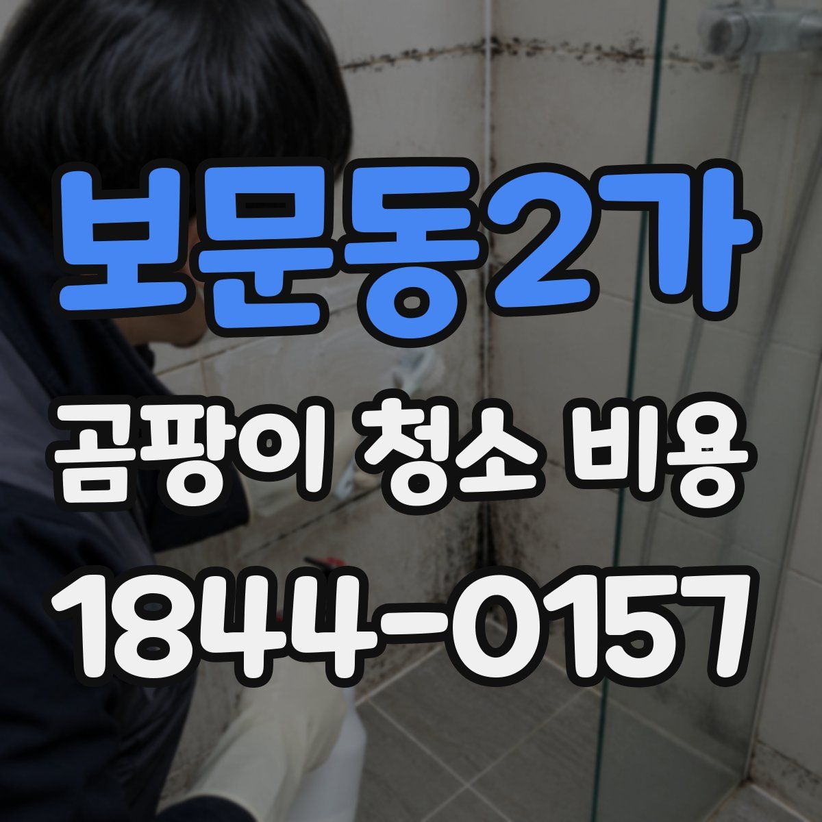 보문동2가 곰팡이 청소 비용