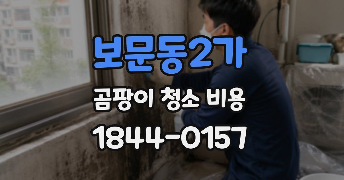 보문동2가 곰팡이 청소 비용