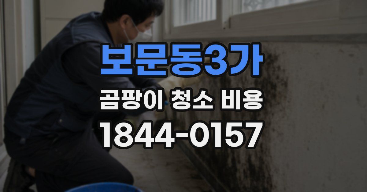 보문동3가 곰팡이 청소 비용