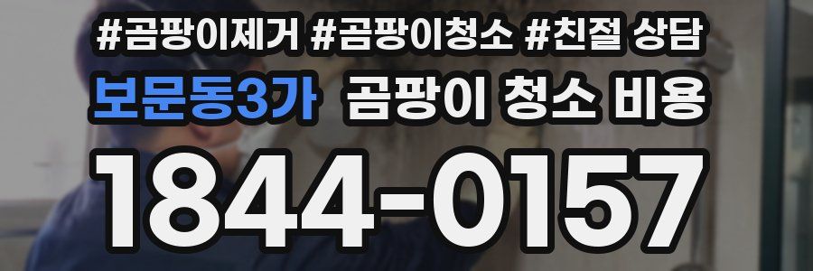 보문동3가 곰팡이 청소 비용