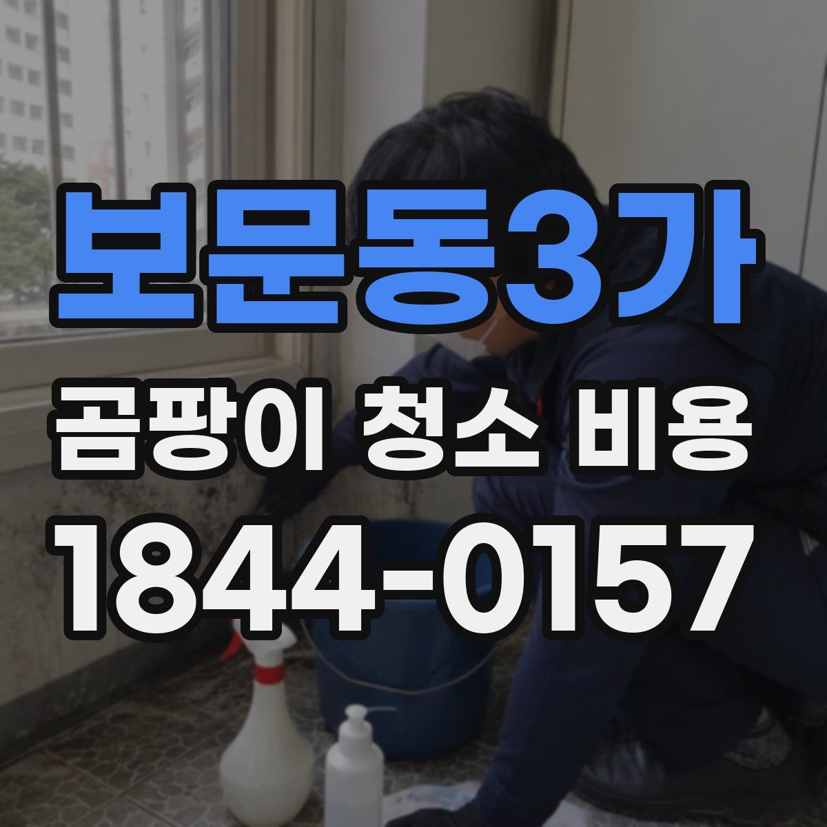 보문동3가 곰팡이 청소 비용