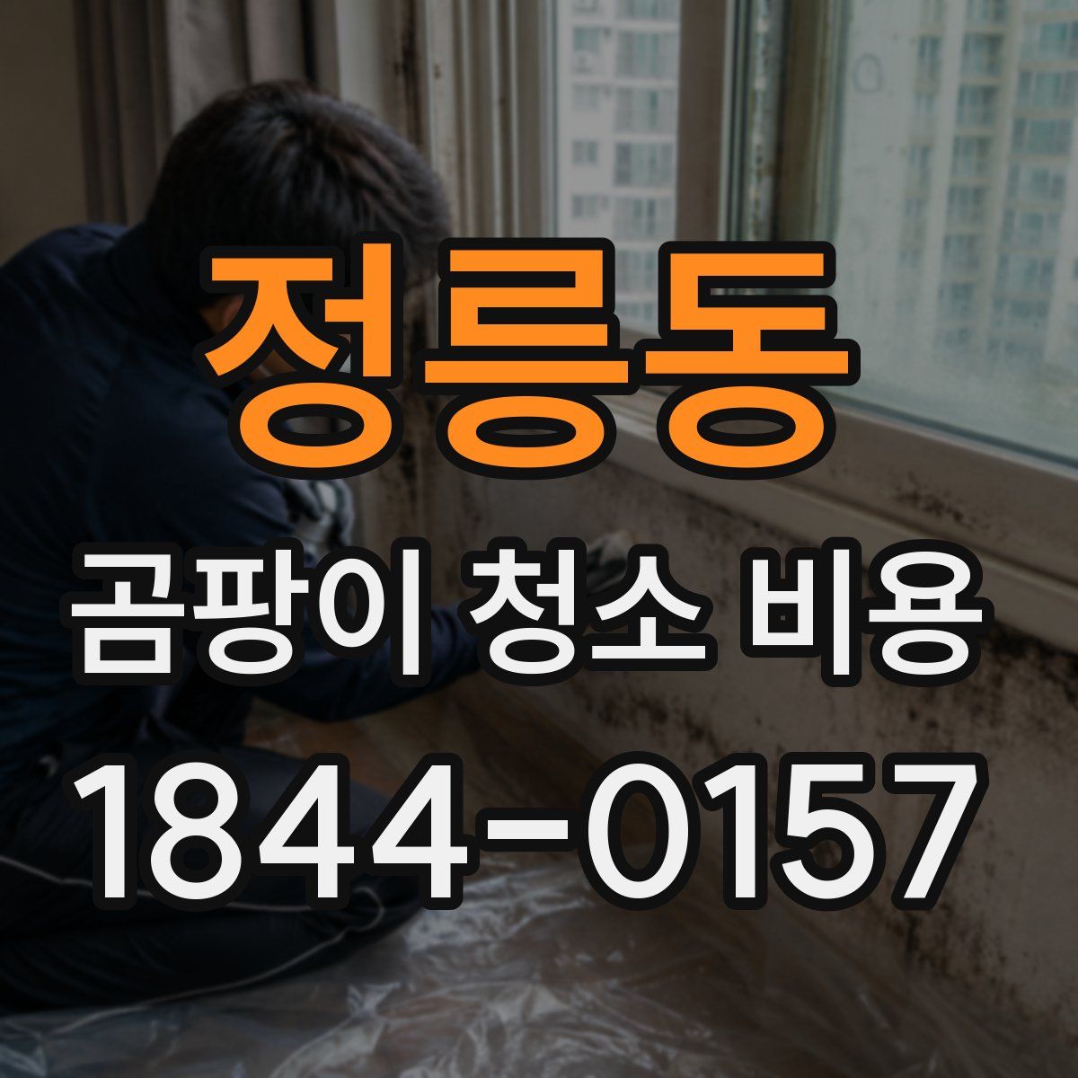 정릉동 곰팡이 청소 비용