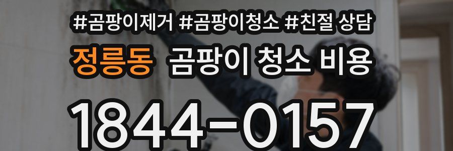 정릉동 곰팡이 청소 비용
