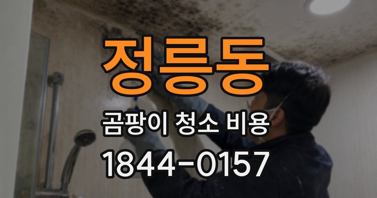 정릉동 곰팡이 청소 비용