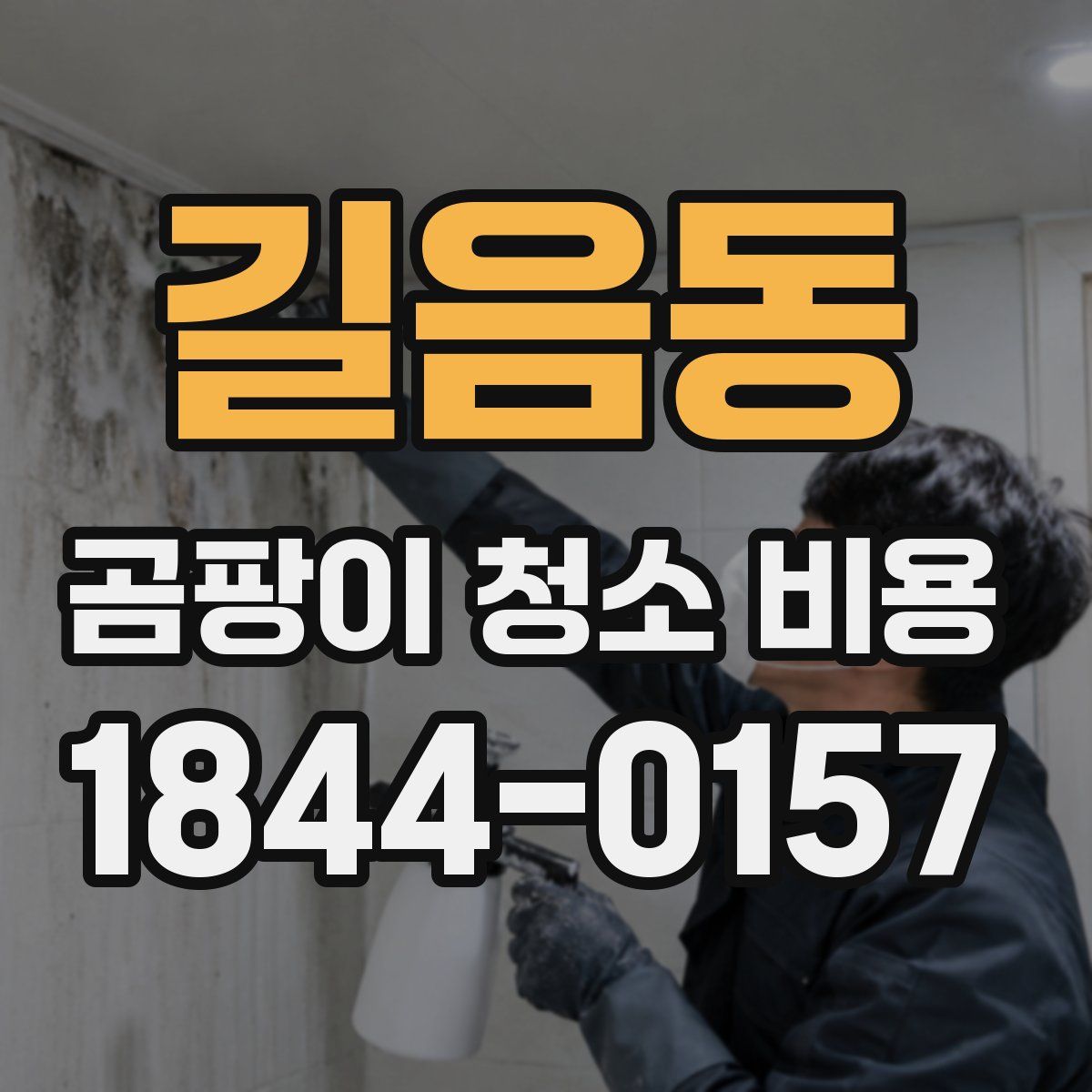 길음동 곰팡이 청소 비용