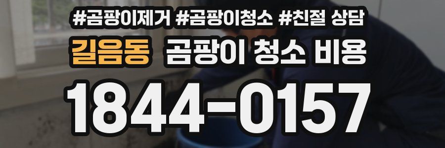 길음동 곰팡이 청소 비용