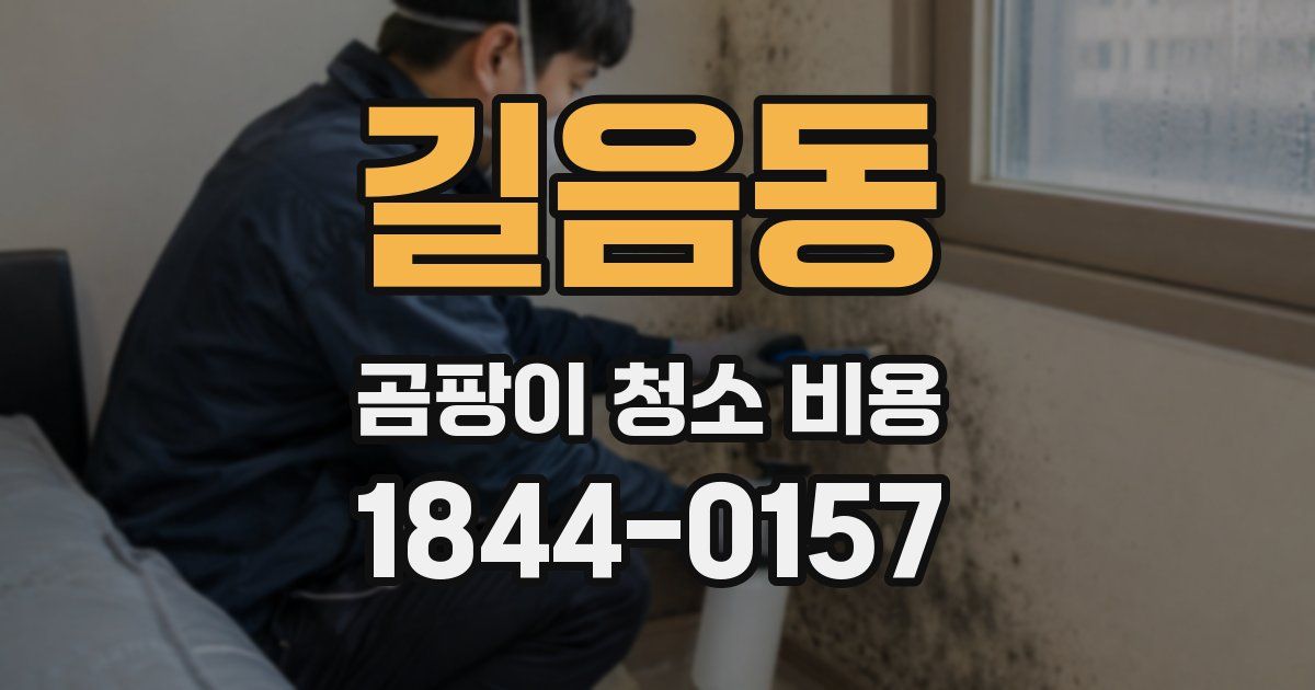 길음동 곰팡이 청소 비용