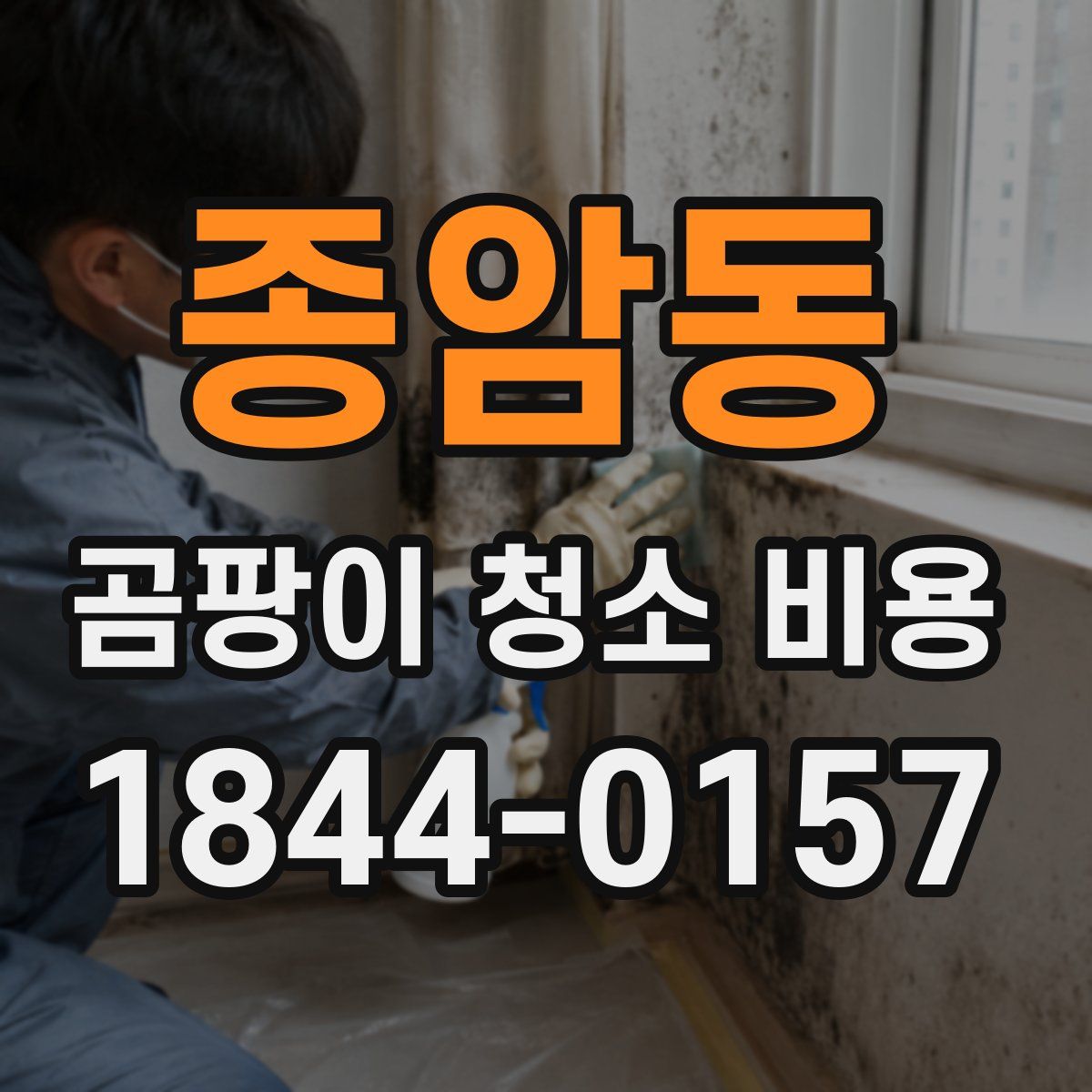종암동 곰팡이 청소 비용