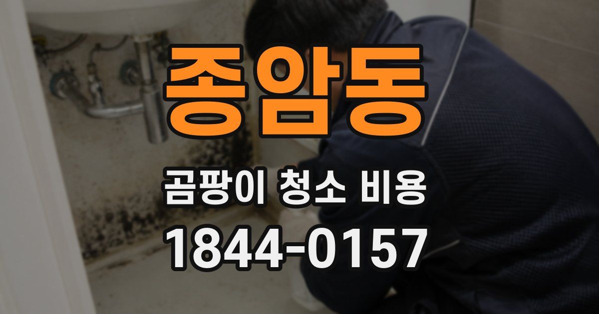 종암동 곰팡이 청소 비용